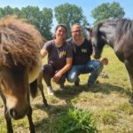 Gemeinsam stark – Auszeit in der Natur mit Pferden