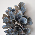 Lesung mit musikalischer Begleitung